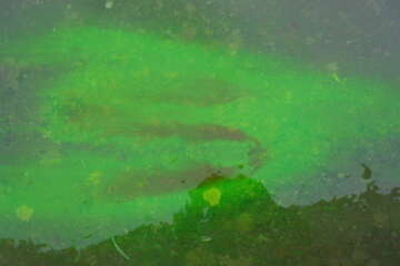 Formation adopter une oeuvre 3 flora basthier 4