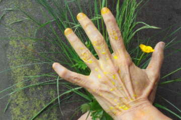 Formation adopter une oeuvre 3 flora basthier 5