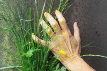 Formation adopter une oeuvre 3 flora basthier 6