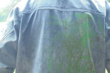 Formation adopter une oeuvre 3 flora basthier 7