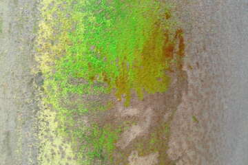 Formation adopter une oeuvre 3 flora basthier 9