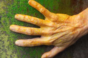 Formation adopter une oeuvre 3 flora basthier 12