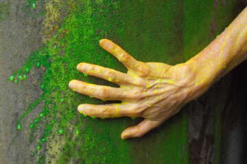 Formation adopter une oeuvre 3 flora basthier 13