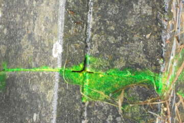 Formation adopter une oeuvre 3 flora basthier 16