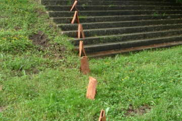 Formation adopter une oeuvre 3 flora basthier 20