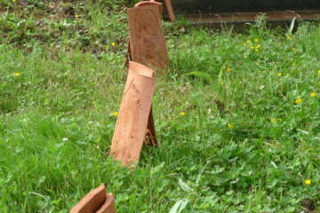 Formation adopter une oeuvre 3 flora basthier 21