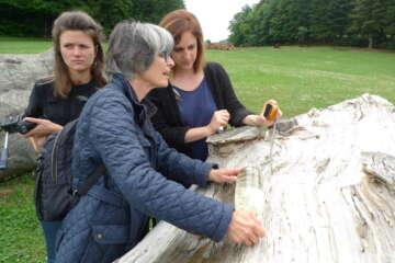 Formation adopter une oeuvre 3 flora basthier 38