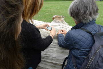 Formation adopter une oeuvre 3 flora basthier 39