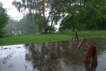 Formation adopter une oeuvre 3 flora basthier 43