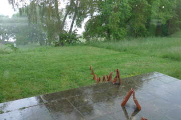 Formation adopter une oeuvre 3 flora basthier 45