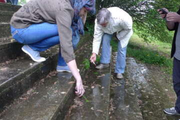 Formation adopter une oeuvre 3 flora basthier 50