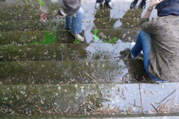 Formation adopter une oeuvre 3 flora basthier 52