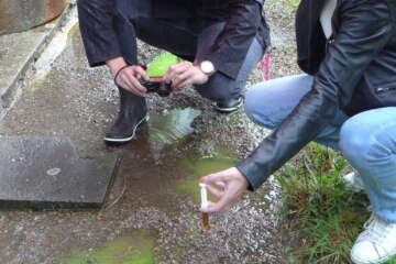 Formation adopter une oeuvre 3 flora basthier 55