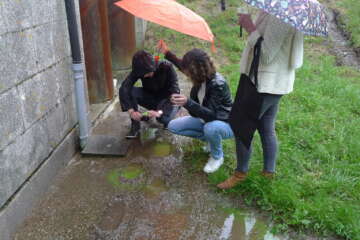 Formation adopter une oeuvre 3 flora basthier 56