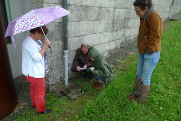 Formation adopter une oeuvre 3 flora basthier 57