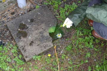 Formation adopter une oeuvre 3 flora basthier 58