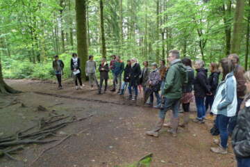 Formation adopter une oeuvre 3 flora basthier 62