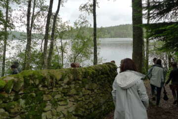 Formation adopter une oeuvre 3 flora basthier 66