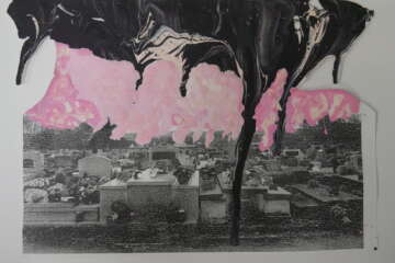 Workshop cadrer le paysage 3 production délève Florent Contin Roux 8