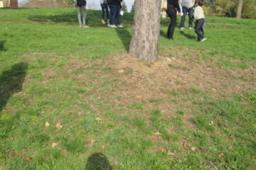 Worhshop cadrer le paysage 1 stephanie eligert 44