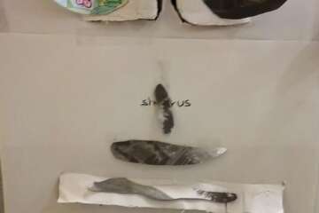 Worhshop cadrer le paysage 1 stephanie eligert 69