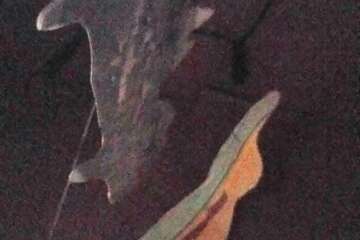 Worhshop cadrer le paysage 1 stephanie eligert 75