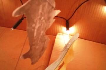 Worhshop cadrer le paysage 1 stephanie eligert 76