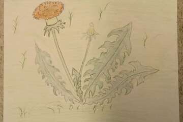 Worhshop cadrer le paysage 1 stephanie eligert 80