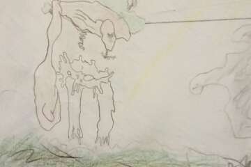 Worhshop cadrer le paysage 1 stephanie eligert 82