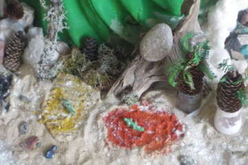 Workshop echo lidia lelong 2