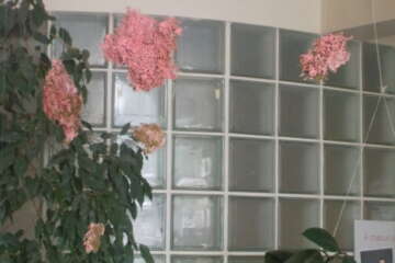 Workshop echo lidia lelong 9