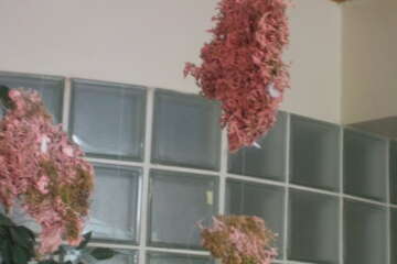 Workshop echo lidia lelong 10