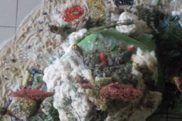 Workshop echo lidia lelong 11