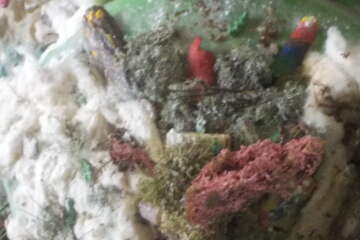 Workshop echo lidia lelong 12