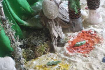 Workshop echo lidia lelong 15