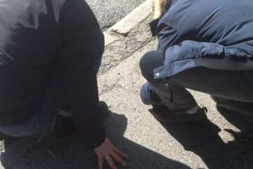 Workshop g eau logique atelier trapet 1