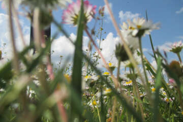 Prises de vue atelier trapet workshop g eau logique 10