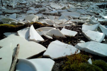 Prises de vue atelier trapet workshop g eau logique 18