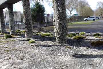 Prises de vue atelier trapet workshop g eau logique 19