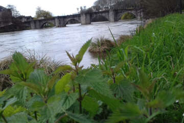 Prises de vue atelier trapet workshop g eau logique 20