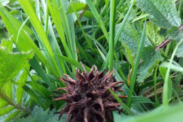 Prises de vue atelier trapet workshop g eau logique 21