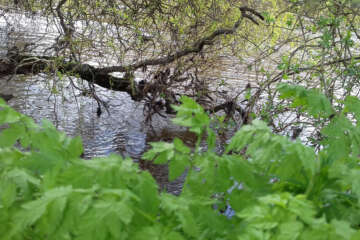 Prises de vue atelier trapet workshop g eau logique 22