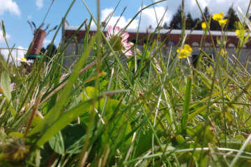 Prises de vue atelier trapet workshop g eau logique 27