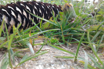 Prises de vue atelier trapet workshop g eau logique 28