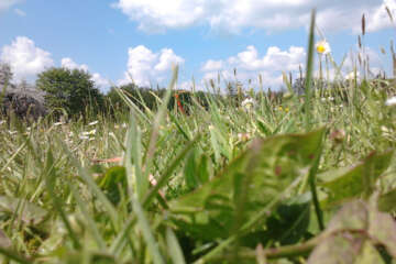 Prises de vue atelier trapet workshop g eau logique 29