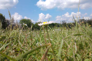 Prises de vue atelier trapet workshop g eau logique 30