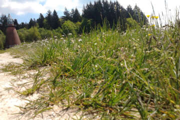 Prises de vue atelier trapet workshop g eau logique 31