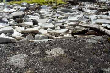 Prises de vue atelier trapet workshop g eau logique 4