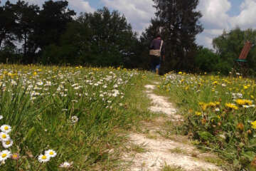 Prises de vue atelier trapet workshop g eau logique 44