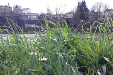 Prises de vue atelier trapet workshop g eau logique 5